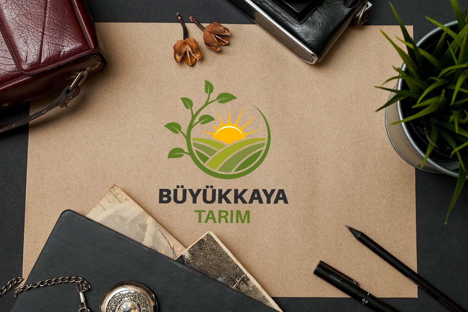 sosyal medya yönetimi